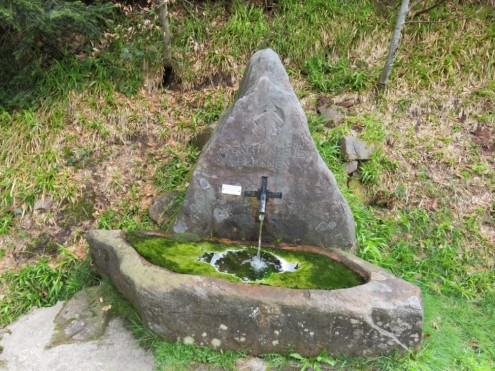 Bild13
