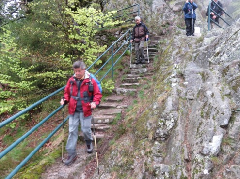 Bild15