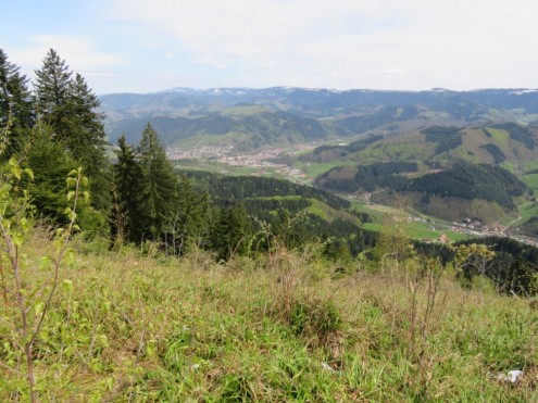 Bild2