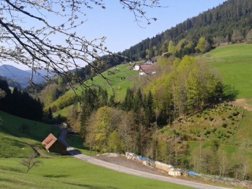 Bild7