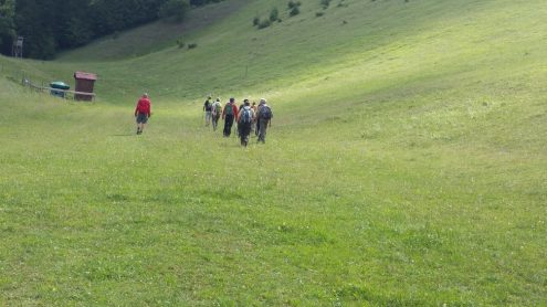 20170617_100155 20170617_100155