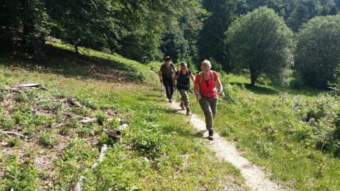 20170618_092943_kl 20170618_092943_kl