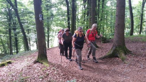 20170618_095029 20170618_095029