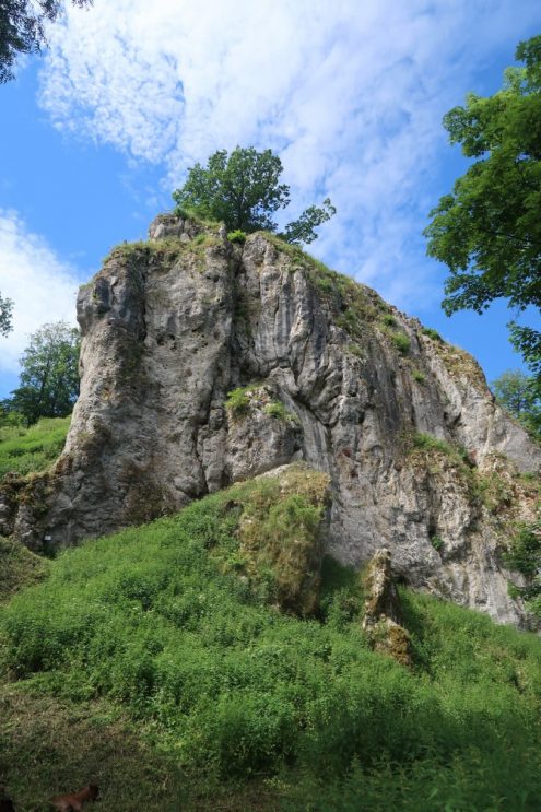 albschaeferweg_116_kl albschaeferweg_116_kl