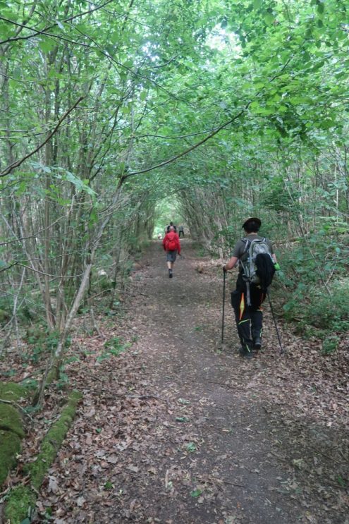 albschaeferweg_142_kl albschaeferweg_142_kl