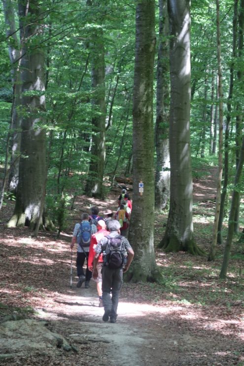 albschaeferweg_401_kl albschaeferweg_401_kl