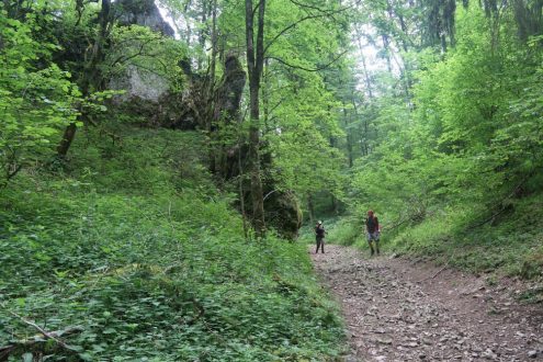 albschaeferweg_477_kl albschaeferweg_477_kl