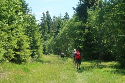 albschaeferweg_526_kl albschaeferweg_526_kl
