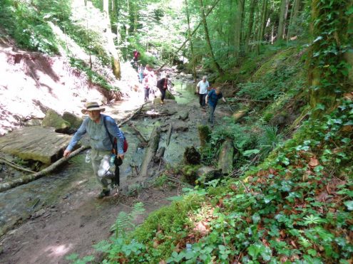 dsc07828_kl