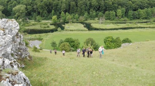 img_20170616_104005_kl img_20170616_104005_kl