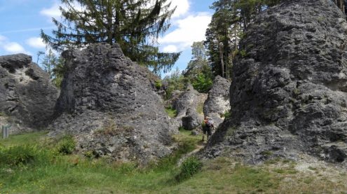 img_20170618_122518_kl img_20170618_122518_kl