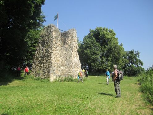 img_8259_kl img_8259_kl